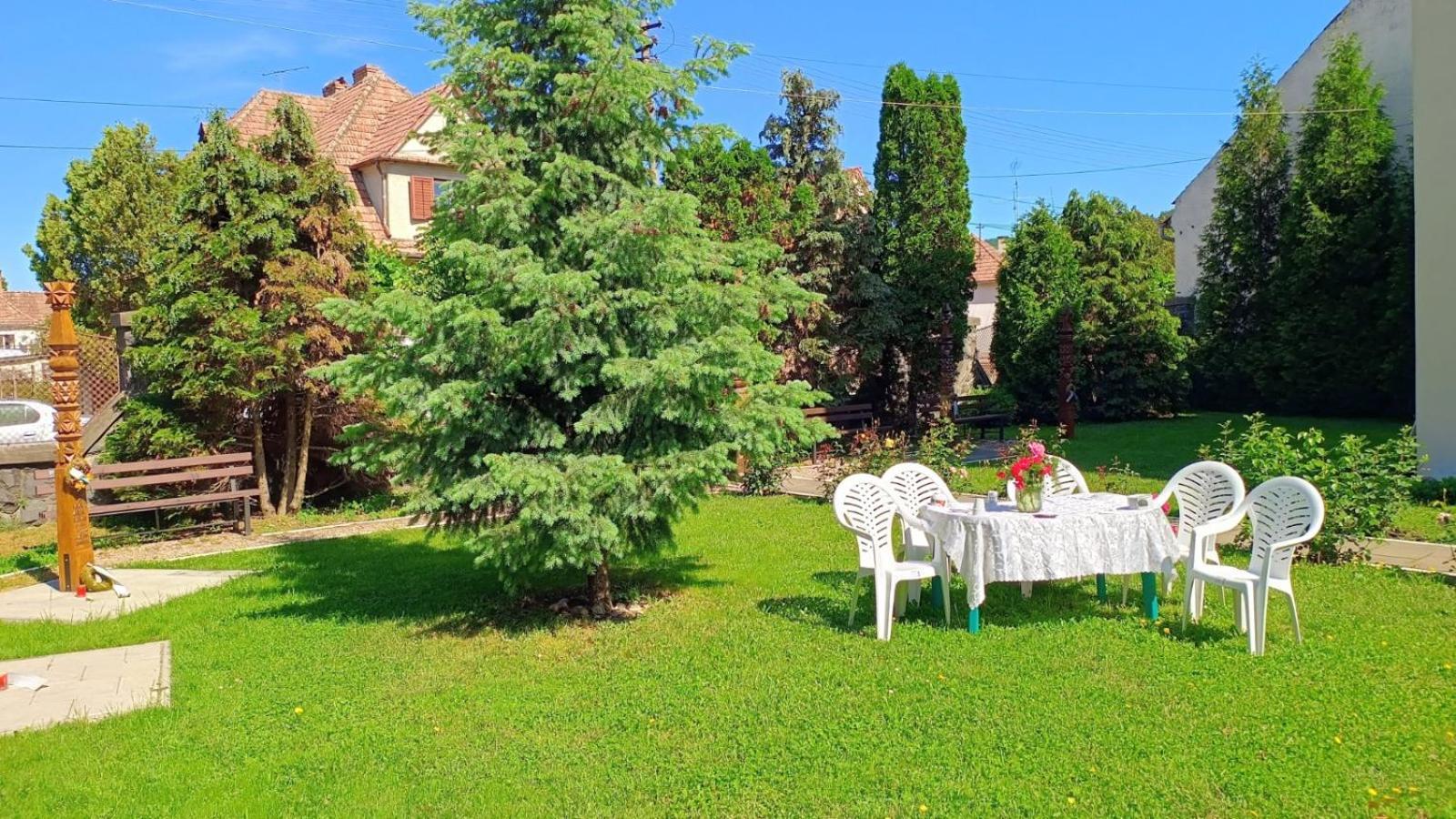 Centrul Gaudeamus Hostel Sighisoara Ngoại thất bức ảnh